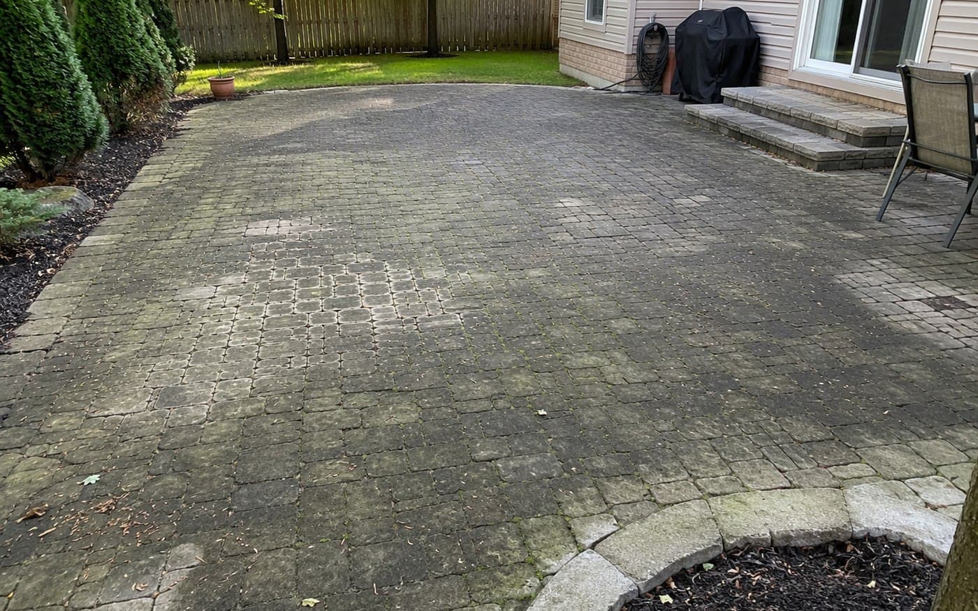 Backyard Patio Cleaning — before