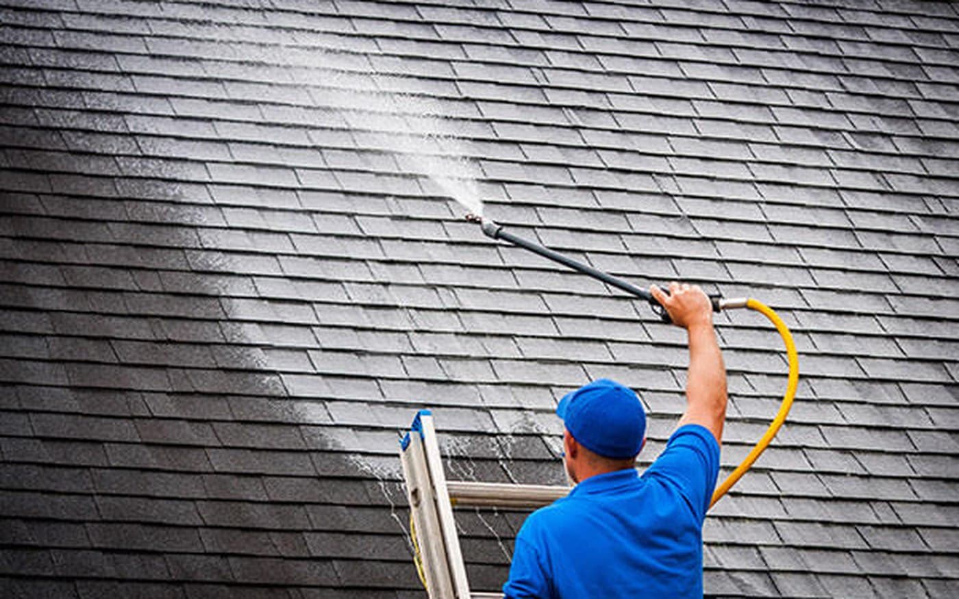 Professional Soft Washing Services